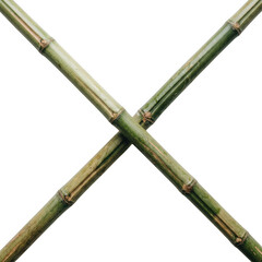 Fototapeta premium Two crossed bamboo stalks isolated on transparent background