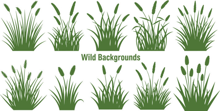Green grass and cattail silhouettes for backgrounds cattails