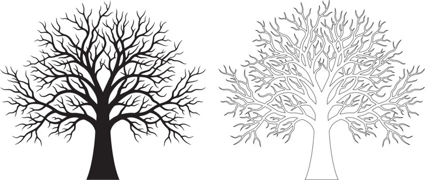 Bare Deciduous Tree Silhouette and Line Art Vector Illustration Set &ndash; Leafless Branches, Black Silhouette and Outline Tree Icons Isolated on White Background