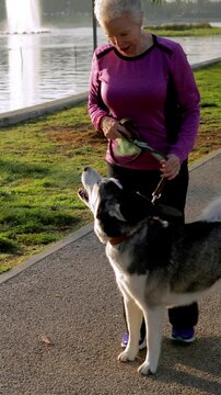 71 year old woman walking her dog in the park. Vertical video.