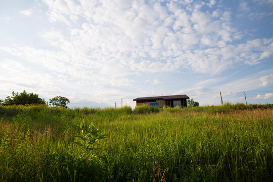 Rural Summer Meadow with Tall Grass and Small House under Cloudy Blue Sky
