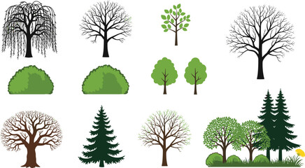 Fototapeta premium Tree and Shrub Vector Collection with Deciduous Evergreen and Landscape Elements
