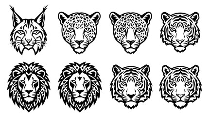 Wild Cat Head Mascot Logo Set with Lion Tiger Leopard and Lynx © TDF CREATIVE