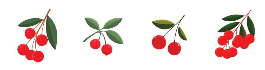 Collection of Realistic red berry sprig illustrations set, Clean vector set ideal for packaging, label, and product design, Vector illustration of vector design, A Realistic simple illustration © Sabellatint