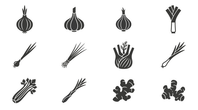 Premium flat minimal vector icon set of 12 bulb and aromatic vegetables in single color style: onion, garlic, shallot, leek, spring onion, chives, fennel bulb, scallion, celery stalk, lemongrass