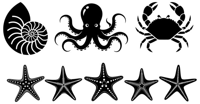 Black and white marine life illustration set nautilus octopus crab and starfish