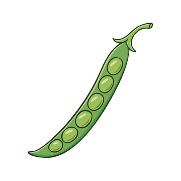 A single fresh green pea pod with visible round peas inside and a stem