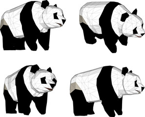 Cute panda animal design vector sketch illustration of China bamboo eating region  © nur
