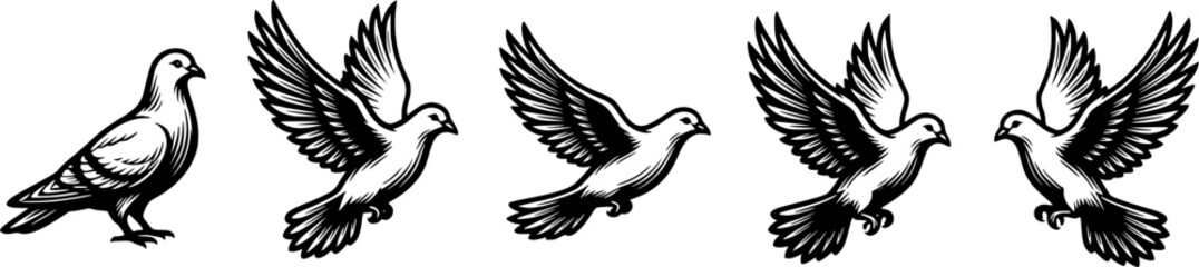 Fototapeta premium Black and White Dove Illustrations Collection Featuring Peace Birds in Standing and Flying Poses for Wedding, Faith, and Nature Designs