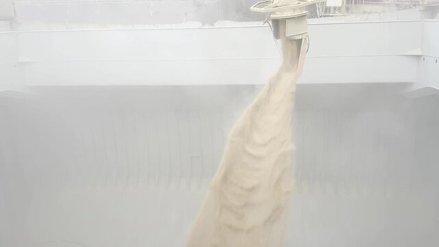 View inside cargo hold as wheat is loaded from above. Grain falls like a waterfall, kicking up fine dust. Industrial food export process.