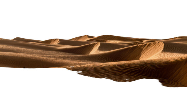 Golden sand dunes with rippled textures, isolated on transparent background