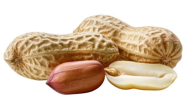 Two whole peanuts and one split peanut with kernel, isolated on transparent background