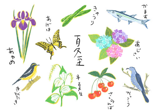 二十四節気　夏至イラスト