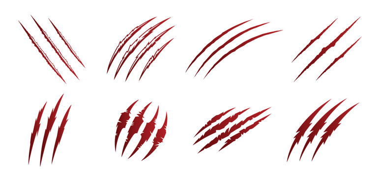 Animal Claw Marks Collection Vector Scratch Slashes Wild Predator Grunge Set.