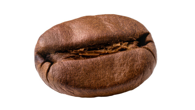 Single roasted coffee bean with deep crevice, isolated on transparent background