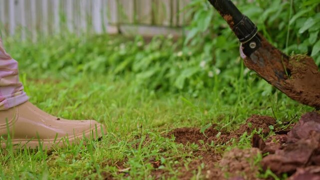 Person digging garden soil with shovel near wooden fence and green bushes, backyard gardening work