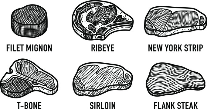 Six different types of raw beef steak cuts illustrated with white lines on a black background