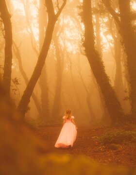 little girl with pink princess dress walking in the foggy and scary dark woods