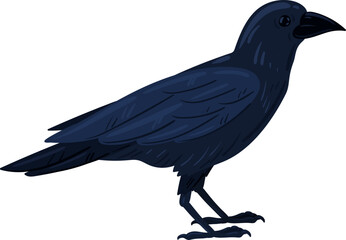 Obraz premium Black crow bird standing in profile, showing dark feathers and beak