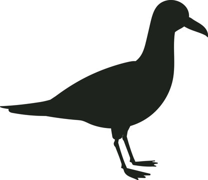 Standing seabird silhouette icon representing coastal nature and beach fauna