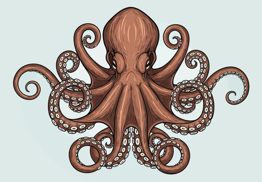 A detailed, colorful illustration of an octopus with curly tentacles and suction cups, rendered with a realistic yet artistic style.