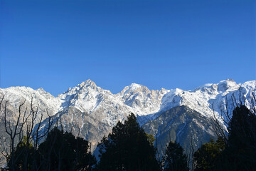 Obraz premium The striking contrast of dark tree silhouettes against majestic, snow-covered mountains celebrates the beauty of natural alpine landscapes excellent for travel, outdoor lifestyle, nature conservation