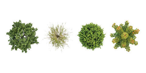 Set of four green trees and bushes seen from above for landscape design and architectural plans ©  creative  marlia