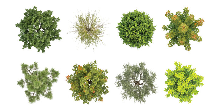 Set of eight different green trees viewed from above for architectural landscape design plans