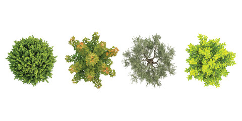 Set of four different green trees seen from above for architectural landscape design ©  creative  marlia