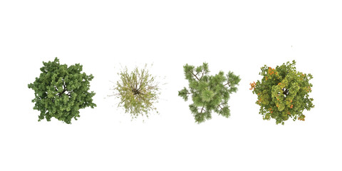Top view of four green trees and bushes for architectural landscape design plans ©  creative  marlia