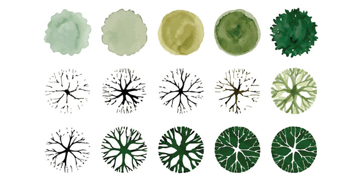 Set of top view trees for architectural landscape design and site plans