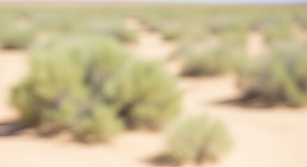 Blurry desert landscape with scattered green bushes under a bright sky.