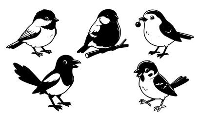 Isolated Autumn & Winter Forest Birds Illustration - Cute Wildlife Collection © Smail