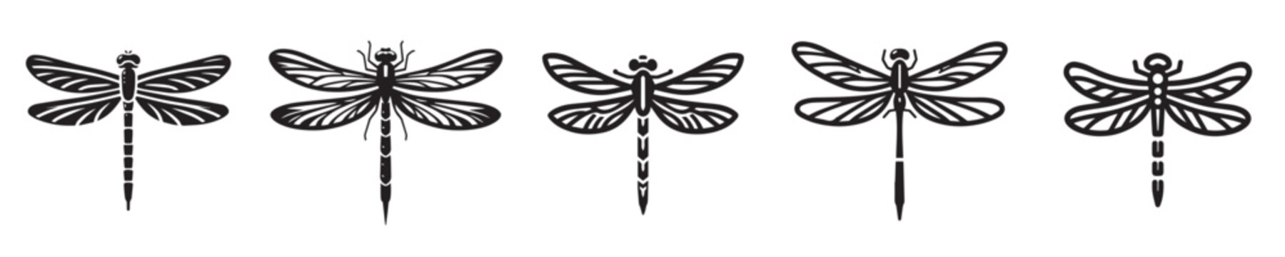 dragonfly silhouette