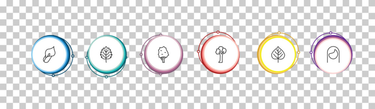 outline nature icons set - calla, bigtooth aspen tree, the maples tree, hair style. editable vector for web and mobile ui