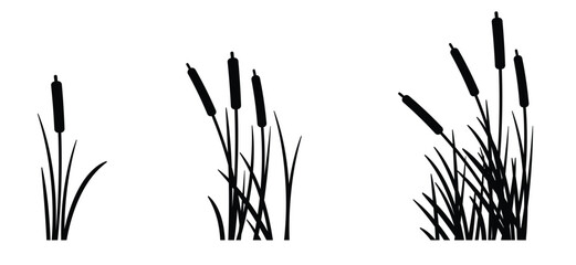 Obraz premium cartoon lisdodde or typha latifolia It is an aquatic plant. They have long, narrow leaves, a straight stem, and a brown, cigar-shaped spadix. They grow mainly in swamps, ditches, and along banks.