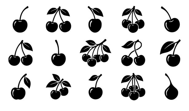 Black cherry illustration collection with stems and leaves isolated on white vector set