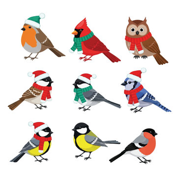 Collection of cute garden birds wearing santa hats and winter scarves