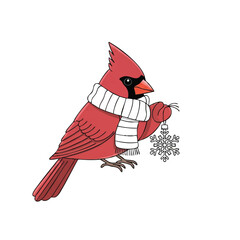 Fototapeta premium Red cardinal wearing a scarf holding a snowflake ornament