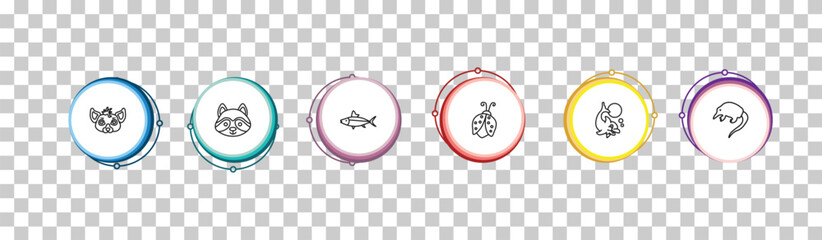 outline animals icons set - hyena, racoon, salmon, desman. editable vector for web and mobile ui © IconArt