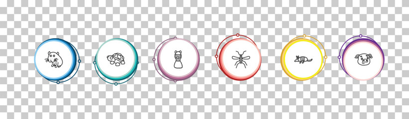 outline animals icons set - capybara, turtle, lama, pig. editable vector for web and mobile ui © IconArt