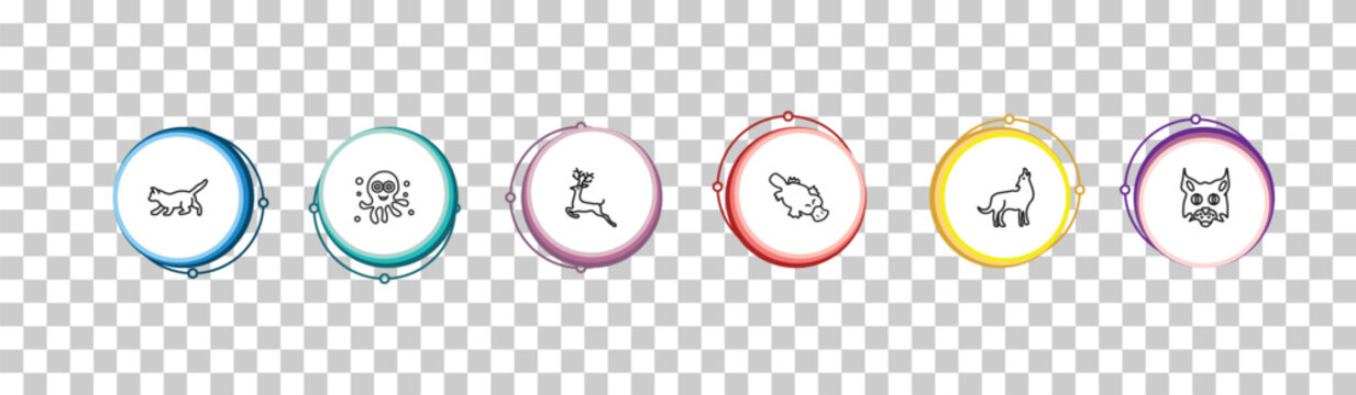 outline animals icons set - kitten, octopus, roe, pallas cat. editable vector for web and mobile ui