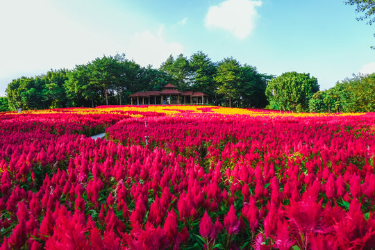 Yuanbo Garden Xiamen, China. Xiamen is a major coastal city in southeastern Fujian Province, China. It also known as "garden on the sea".