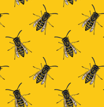 Yellowjacket bee repeat pattern in a seamless vector print