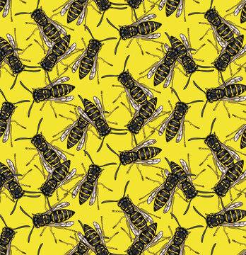 Bee illustration repeat pattern, vector yellowjacket print 