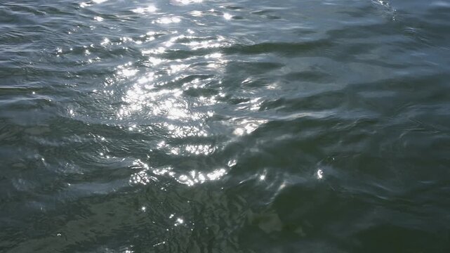 Sonnenlicht tanzt auf einer dunkelblauen, welligen Wasseroberfl&auml;che, Allmannsdorf, Gro&szlig;er Brombachsee, Fr&auml;nkischen Seenland, Landkreis Wei&szlig;enburg-Gunzenhausen, Mittelfranken, Bayern, Deutschland