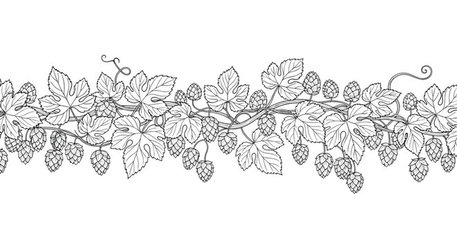 Detailed horizontal border of hand drawn hop branches with leaves and cones in a vintage black and white line art style.