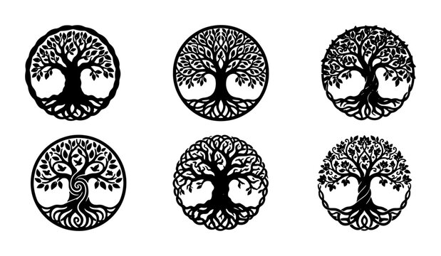 Set of Six Intricate Tree of Life Vector Icons, Celtic Knot Roots and Branches, Spiritual Symbol Graphics for Wellness and Nature Designs