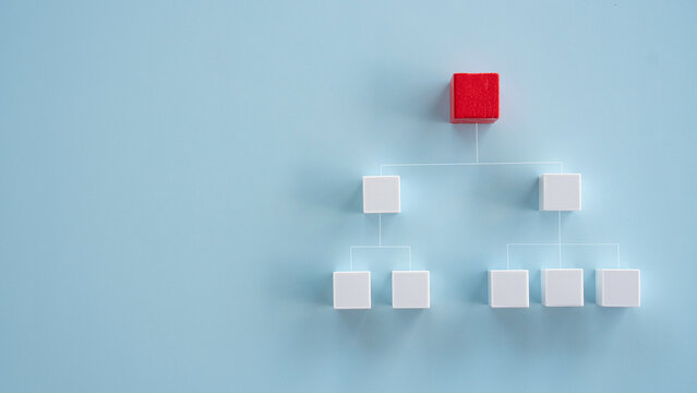 Organizational structure corporate hierarchy chart tree diagram business leadership abstract chart concept