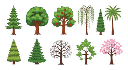 Collection Of Various Trees Vector Illustration On White Background © Foaje512